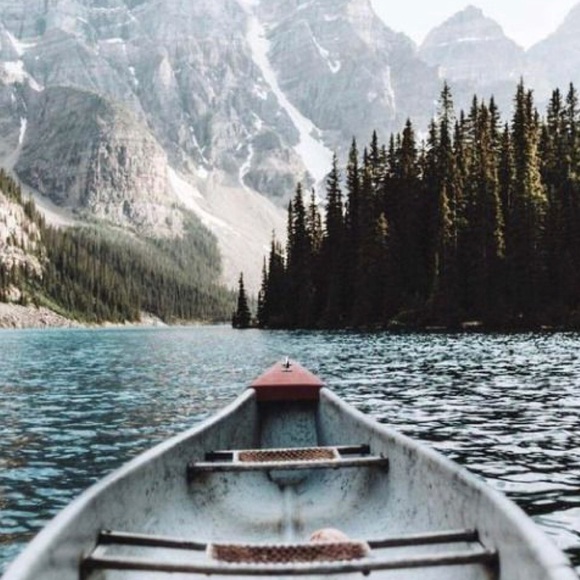 Meet your Posher, Addisyn - Picture 1 of 1